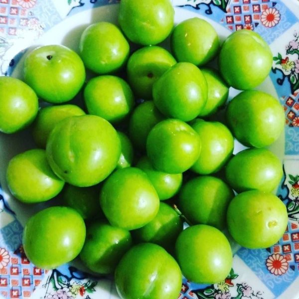 جرنك (خوخ أخضر)