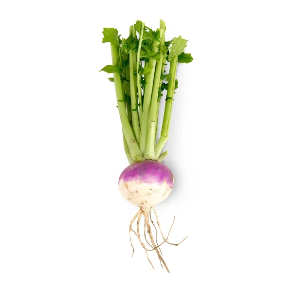 شلغم